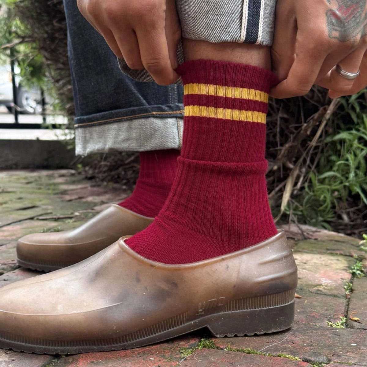 *Just landed* Extended Boyfriend Cardinal