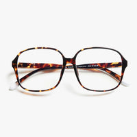 *NEW*Barner Readers Pascal Tortoise