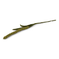 Felted Amaranth