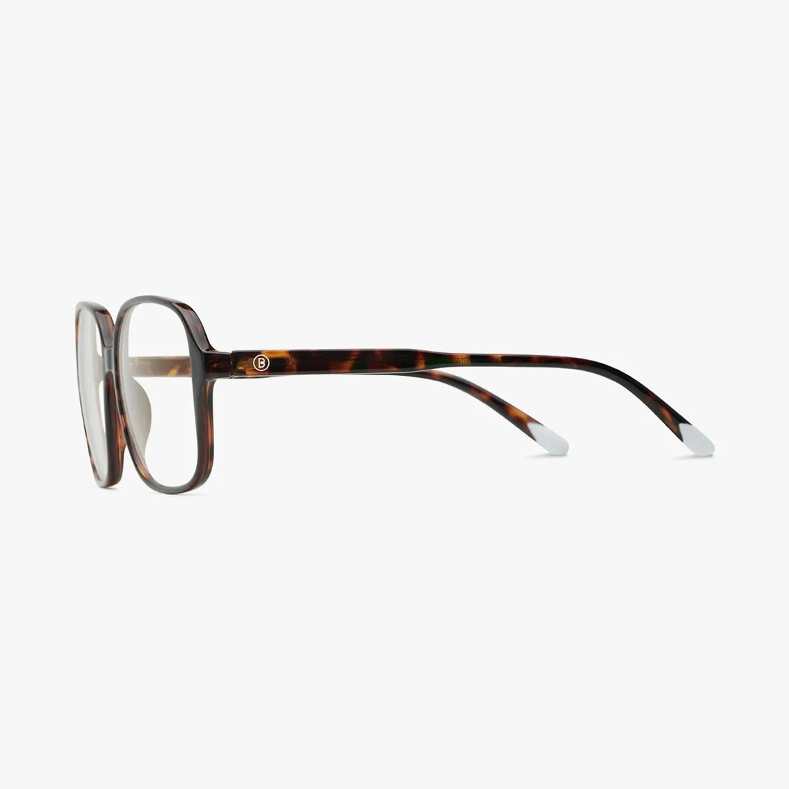 *NEW*Barner Readers Pascal Tortoise
