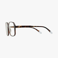 *NEW*Barner Readers Pascal Tortoise