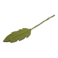 Felted Green Leaf