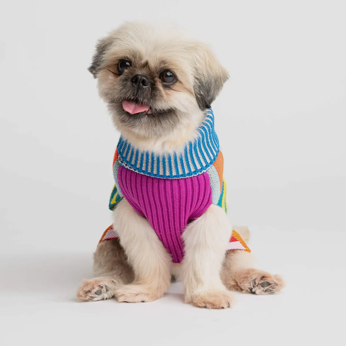 Pattern Patch Dog Jumper Candy