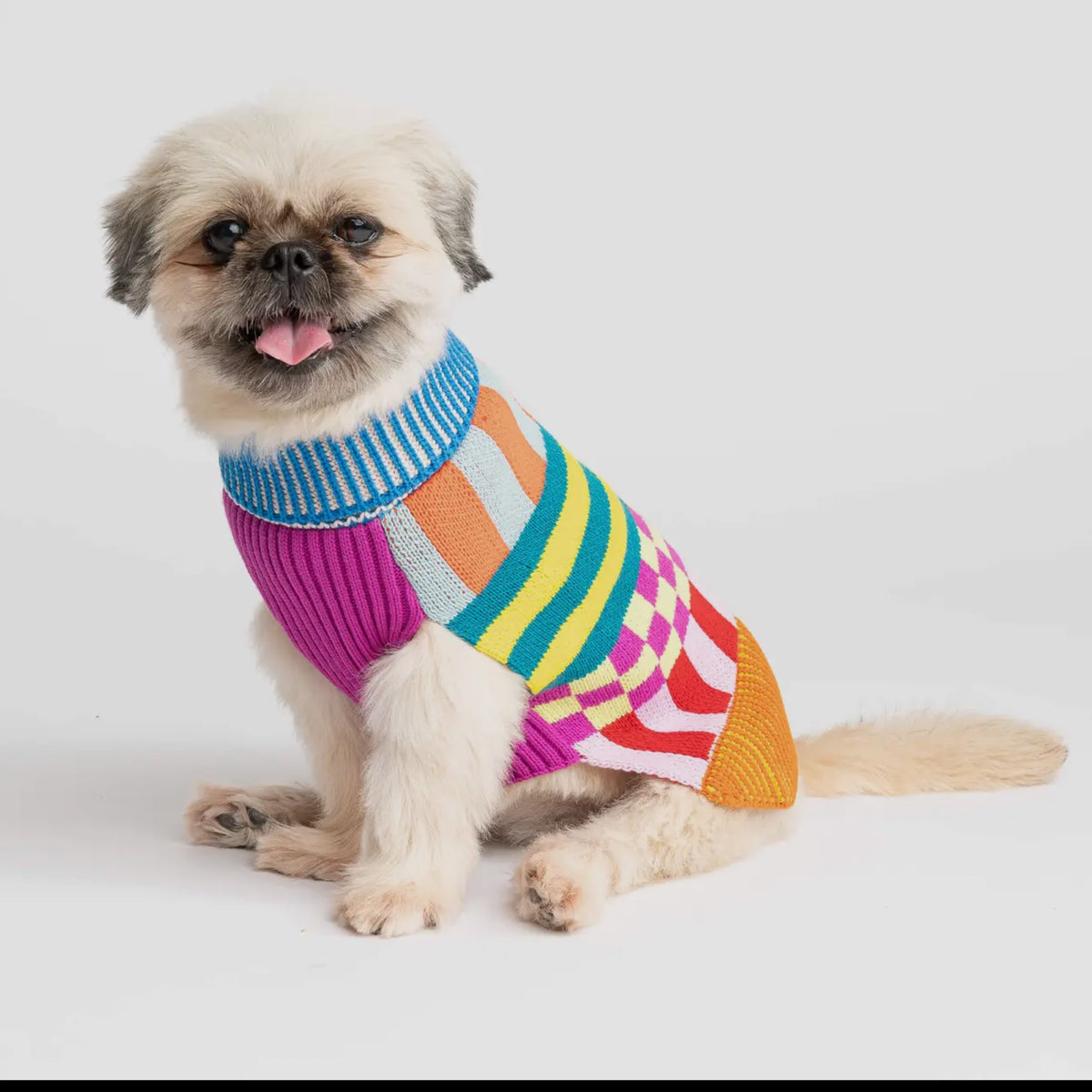 Pattern Patch Dog Jumper Candy