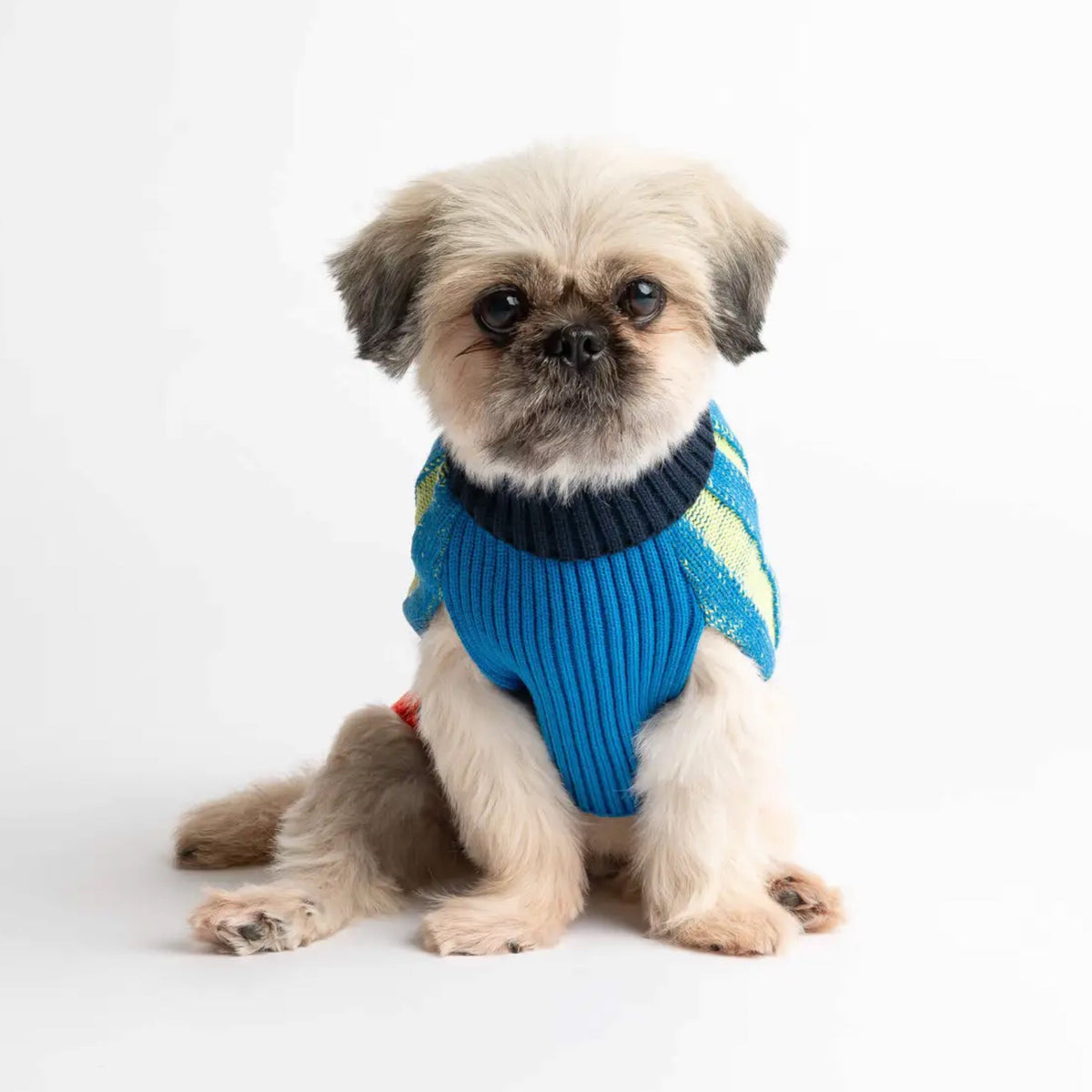 Stripe Dog Jumper