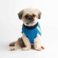 Stripe Dog Jumper
