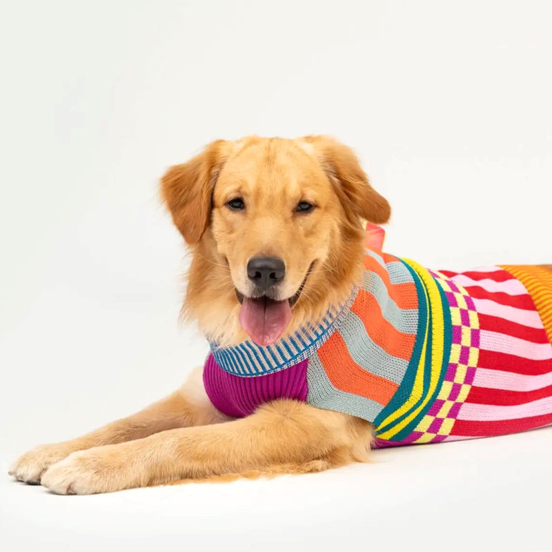Pattern Patch Dog Jumper Candy