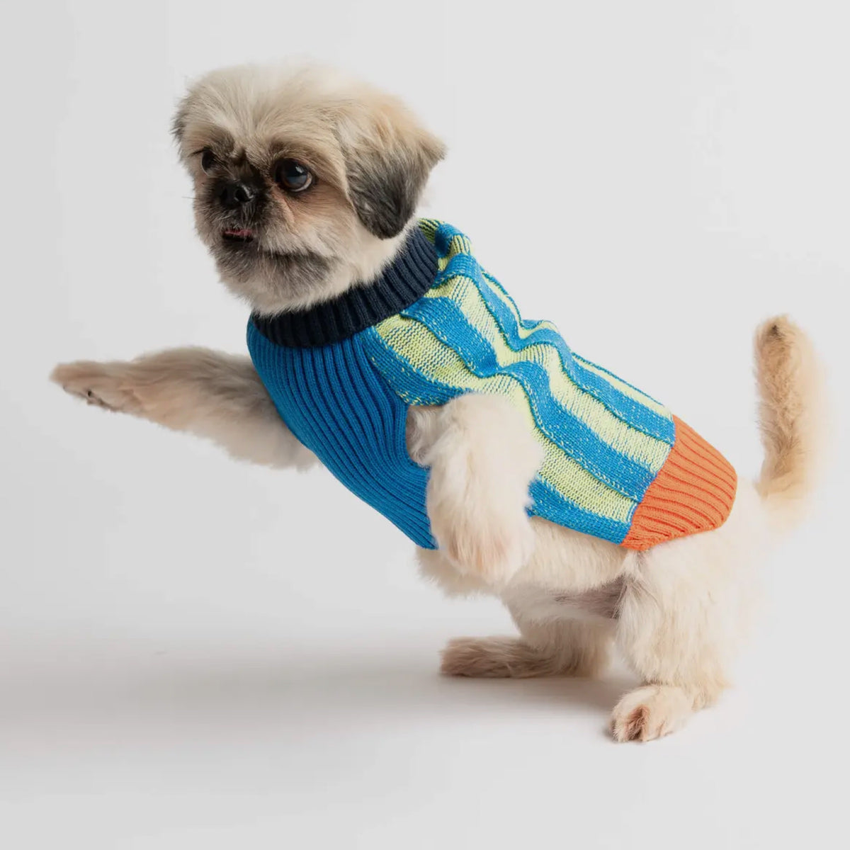 Stripe Dog Jumper
