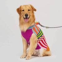 Pattern Patch Dog Jumper Candy