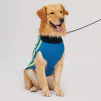 Stripe Dog Jumper