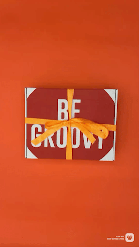 Aviator Nation Bundle