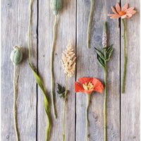 Felted Poppy Flower