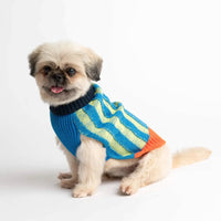Stripe Dog Jumper