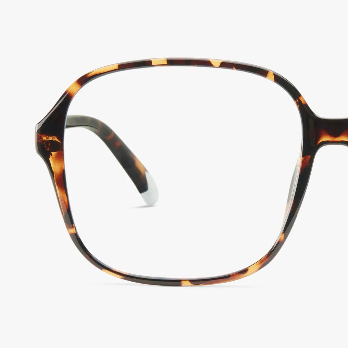 *NEW*Barner Readers Pascal Tortoise