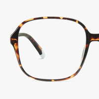 *NEW*Barner Readers Pascal Tortoise