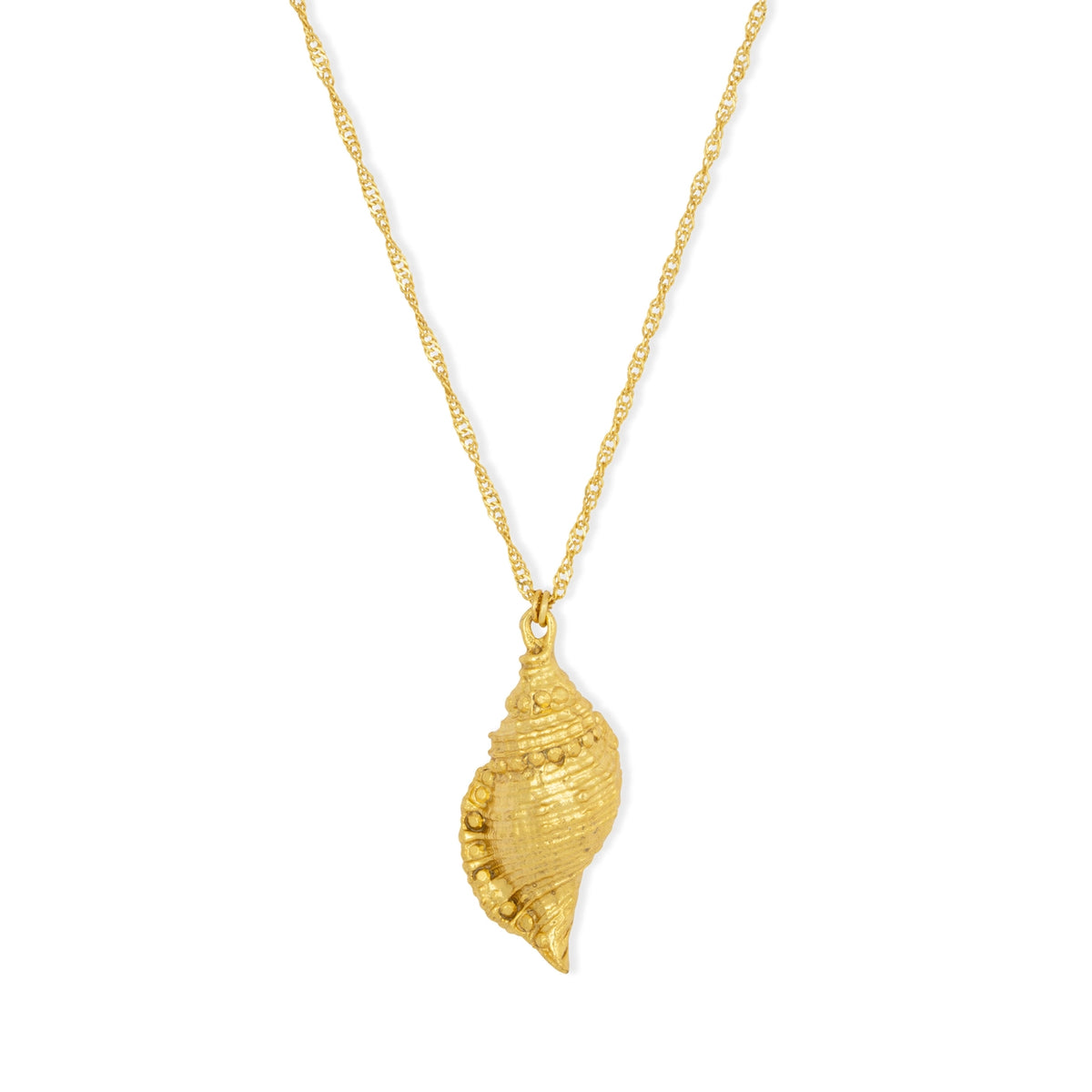 Gold Conch Shell Necklace