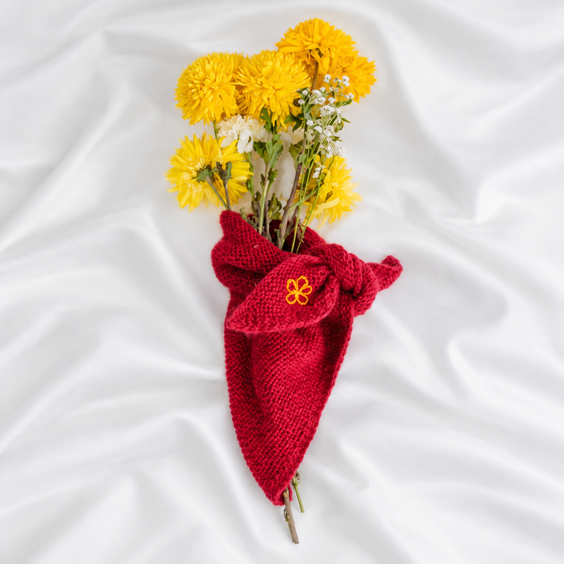 *AW26* Alpaca Bandana Plain Red