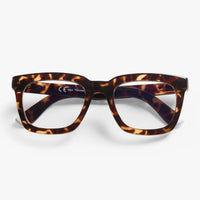 *NEW* Readers Max Glossy Tortoise
