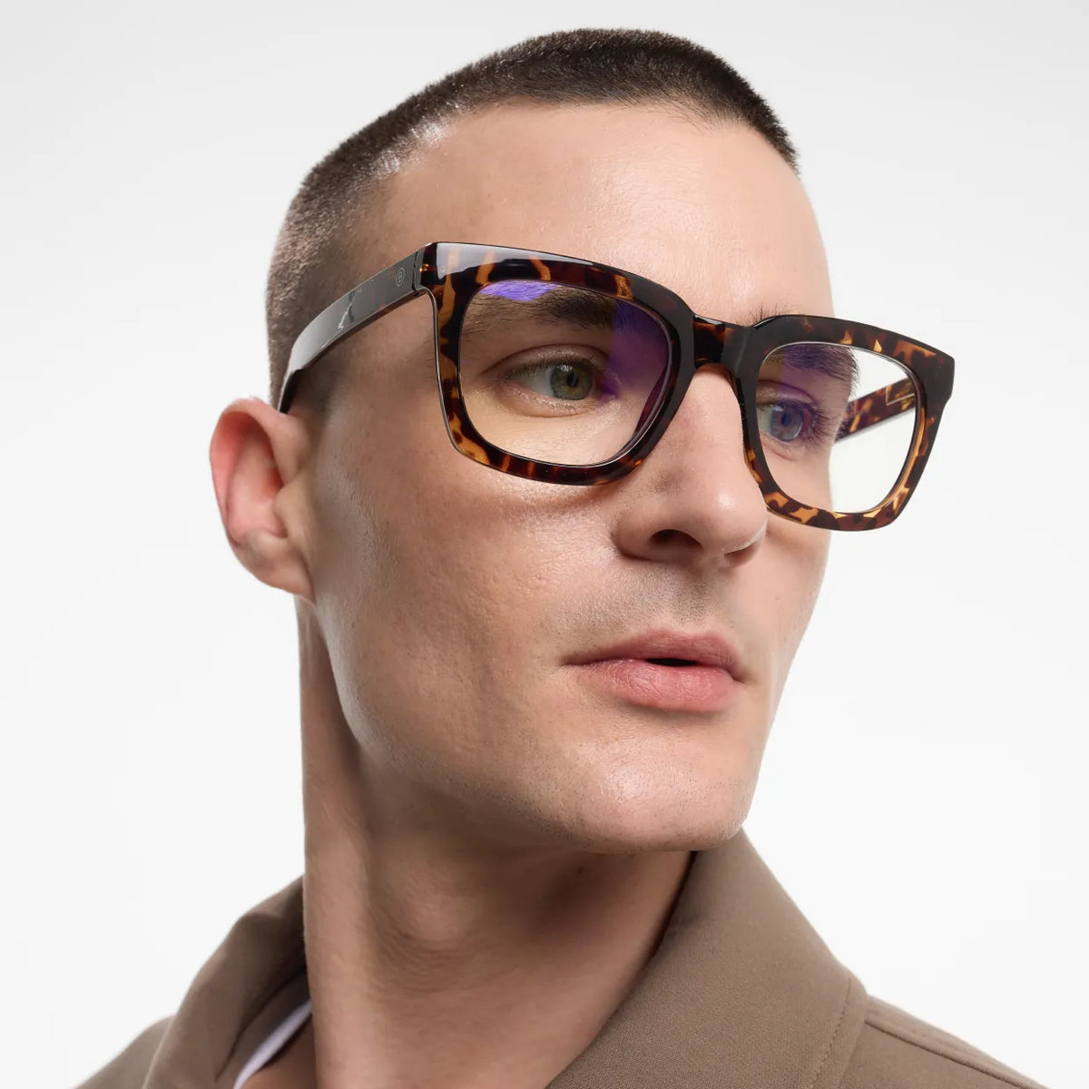 *NEW* Readers Max Glossy Tortoise