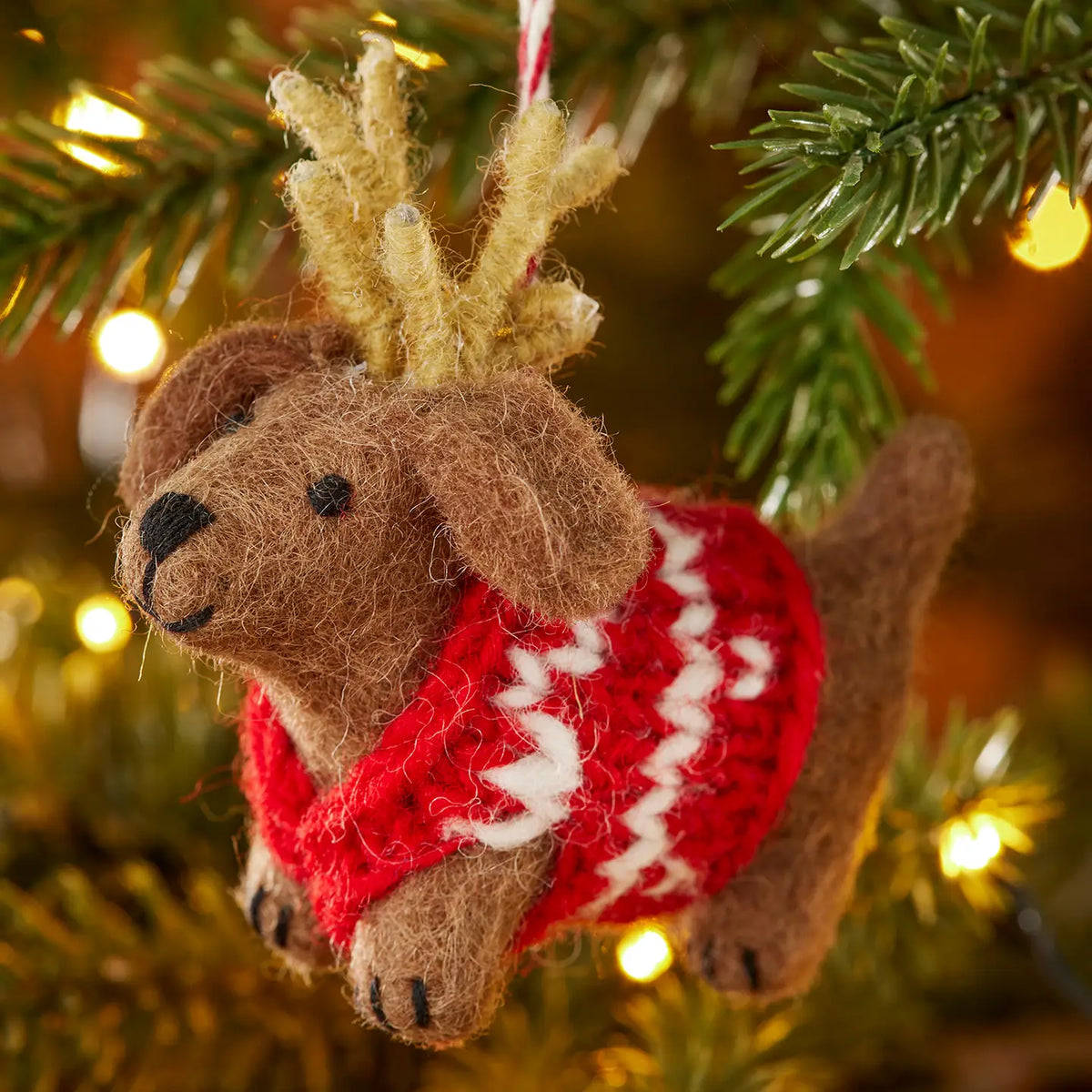 Dog with Antlers Dec