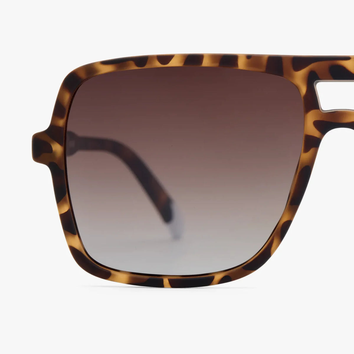 *NEW* Barner Sunglasses Jake Tortoise