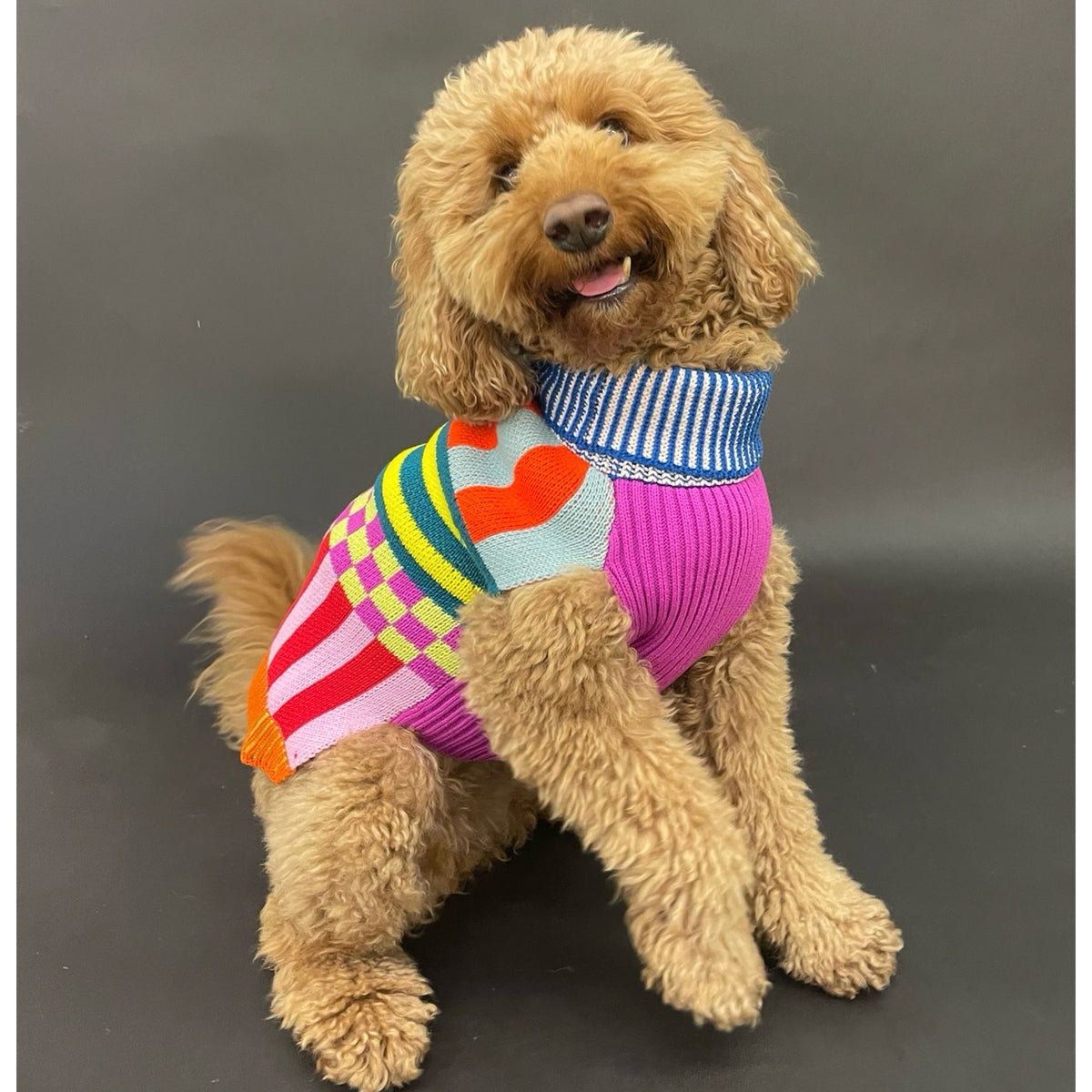 Pattern Patch Dog Jumper Candy