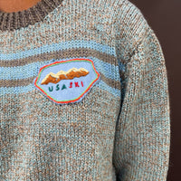 Useless Knitted USA Ski Jumper