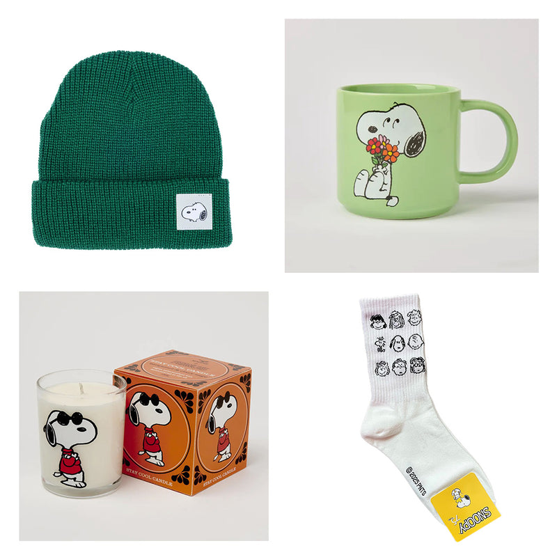 Snoopy Bundle