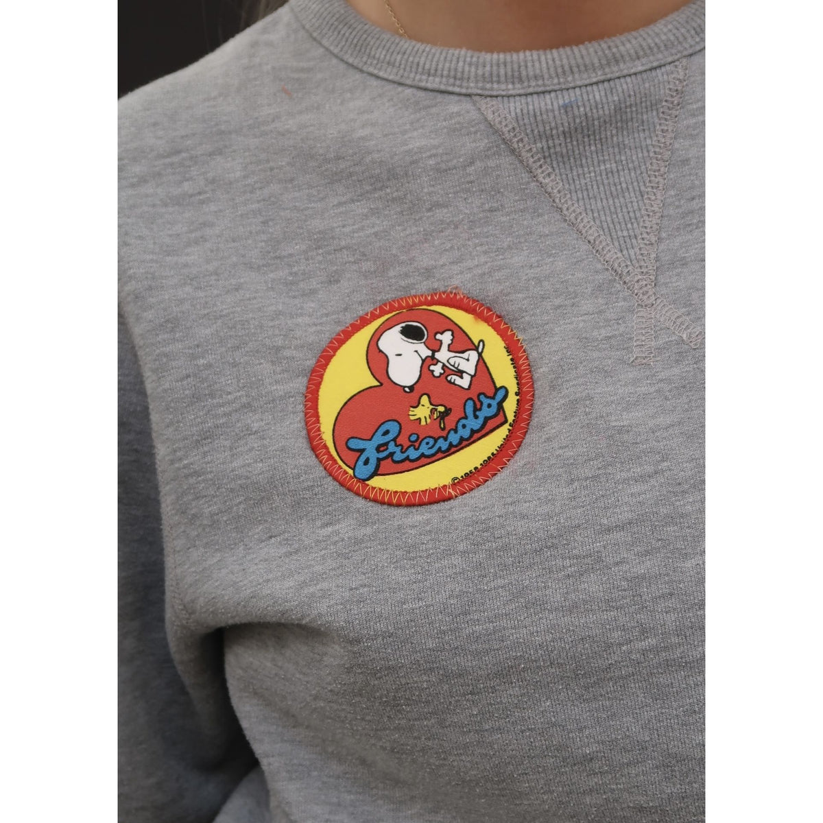 Useless Snoopy Sportif-style Grey Sweat