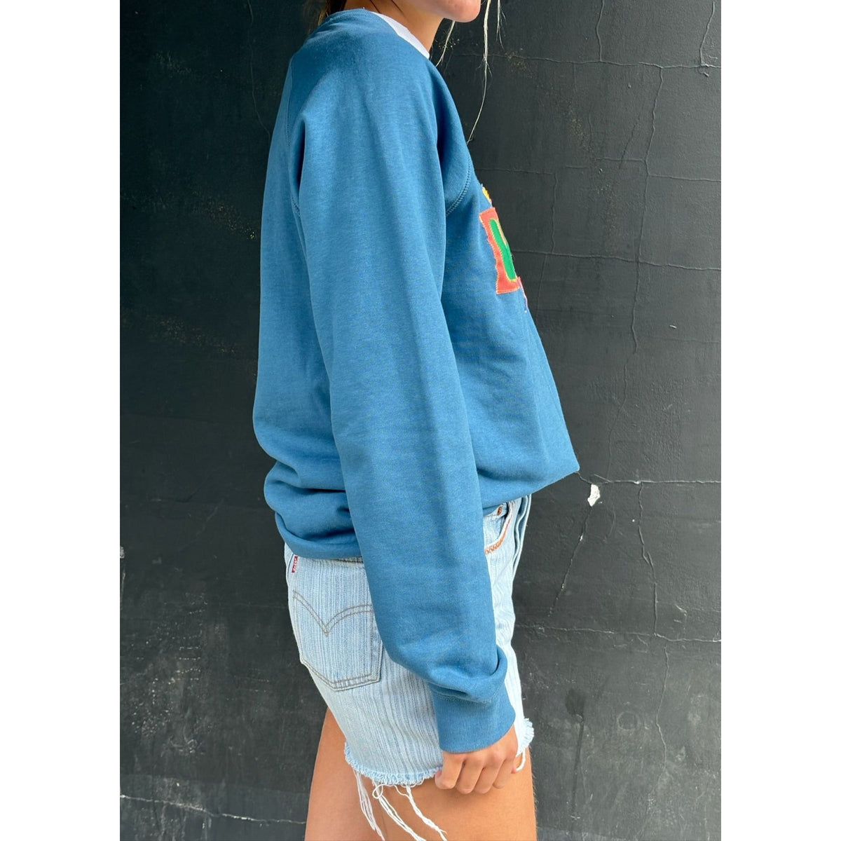 Useless Upcycled Appliqued Blue Sweat
