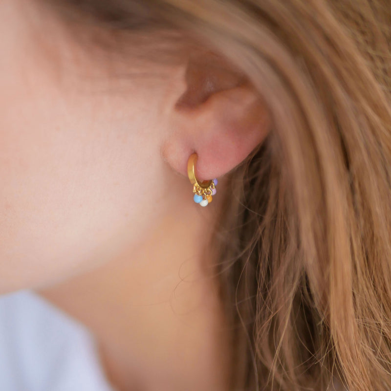 Rainbow Hoop Earrings